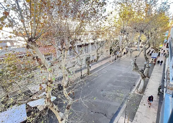 Marques De Campo By El Conserje Dénia